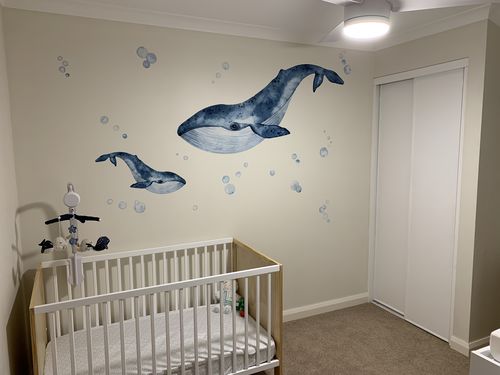 Customer photo review of Whales & Bubbles Decal Set