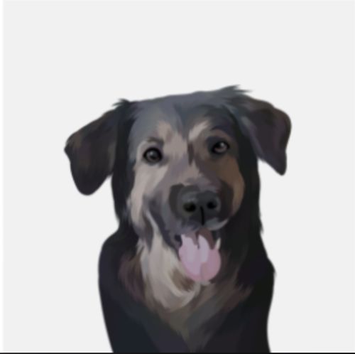 Customer photo review of Custom Wrapped PetCanva