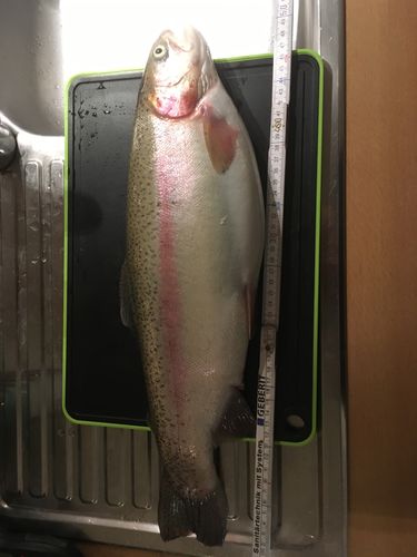 Customer photo review of 8+2g Smart Fishing Float