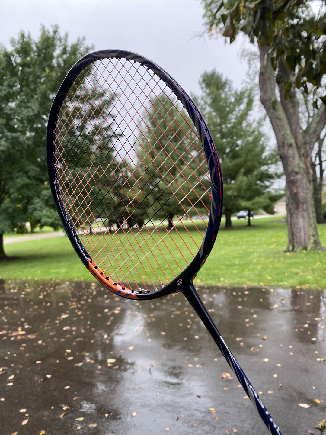 Customer photo review of Racket Restringing Service
