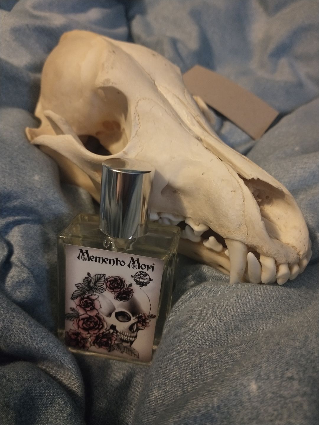Customer photo review of Memento Mori