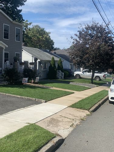 Customer photo review of Protene Performance Starter Fertilizer