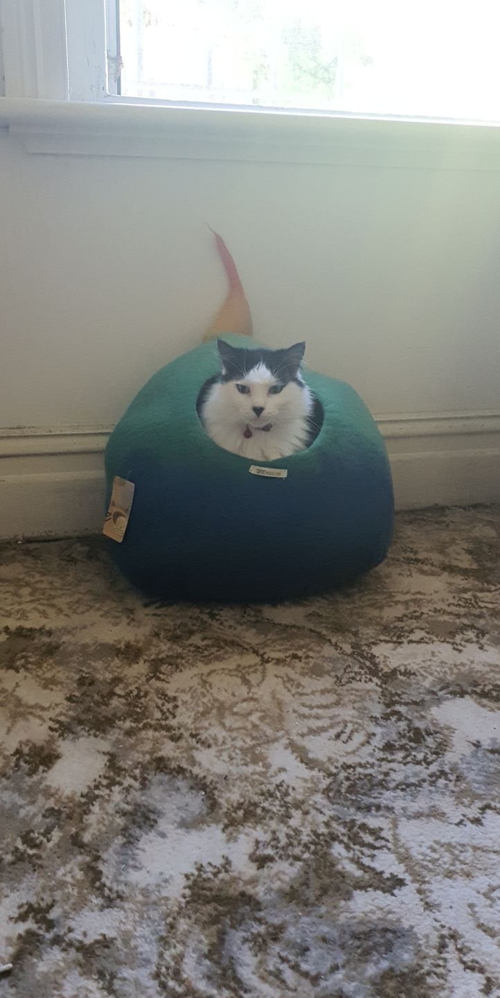 Customer photo review of Cat Cave - Rainbow Teardrop