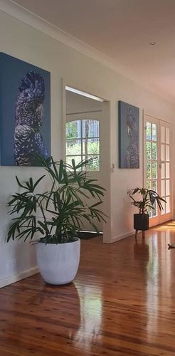 Customer photo review of Black Cockatoo On Blue - Two Piece Black Cockatoo Stretched Canvas Framed Wall Art