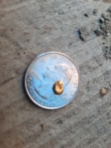 Customer photo review of Nugget Reserve 'MUSEUM SPECIMEN CHASE' - Gold Panning Paydirt Concentrate