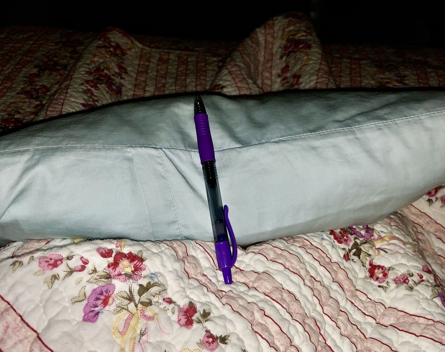 Customer photo review of 2-Pack Toddler Pillows