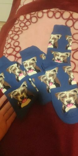 Customer photo review of The 🐶 Sock