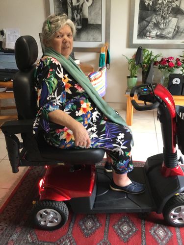 Customer photo review of *NEW* iGo Companion Mobility scooter - NAPPI CODE: 243522001