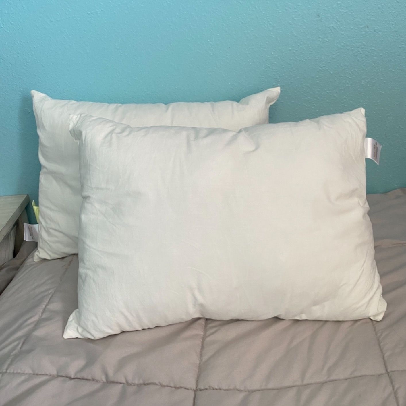 Customer photo review of 2-Pack Toddler Pillows