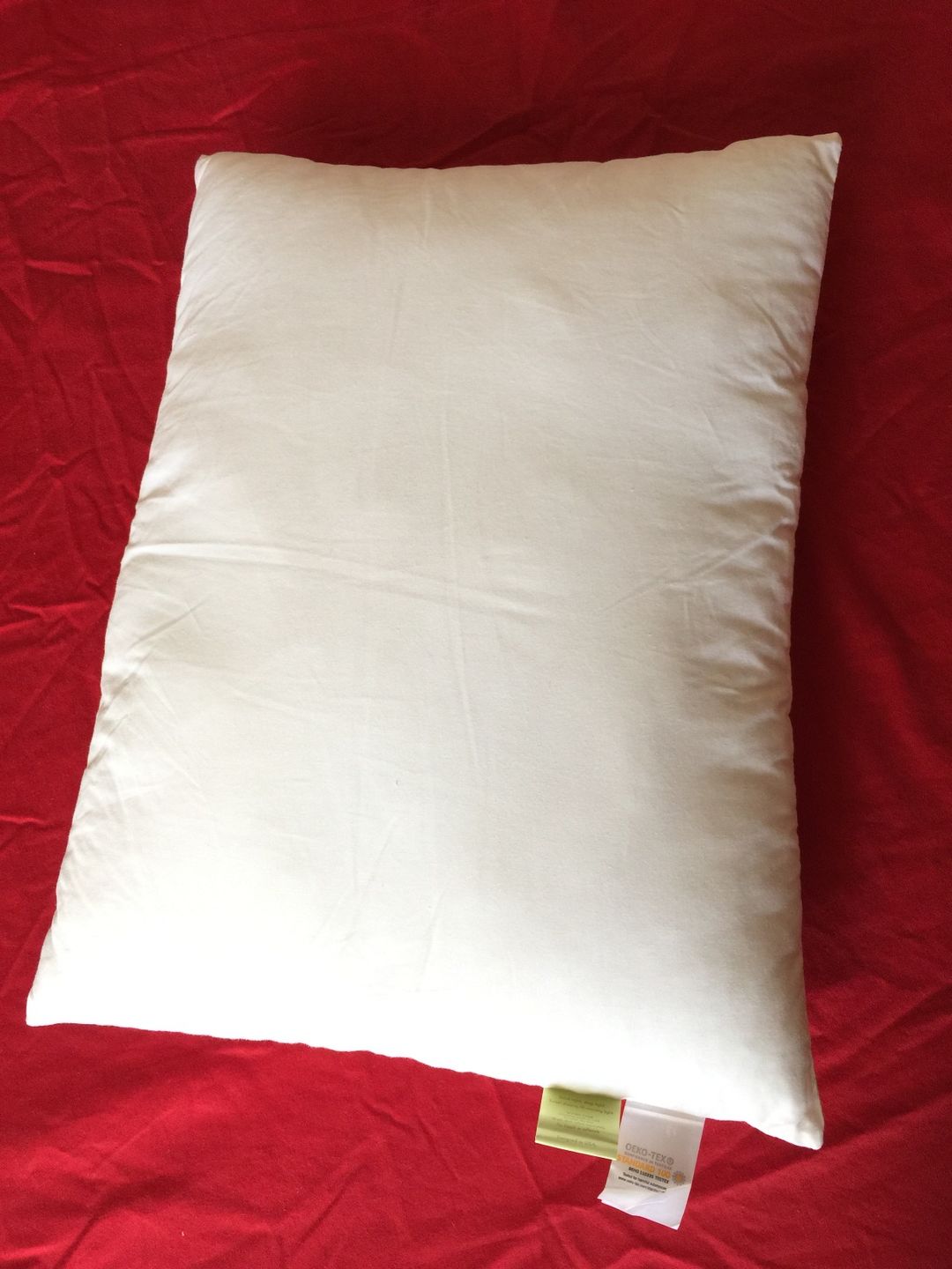 Customer photo review of 2-Pack Toddler Pillows