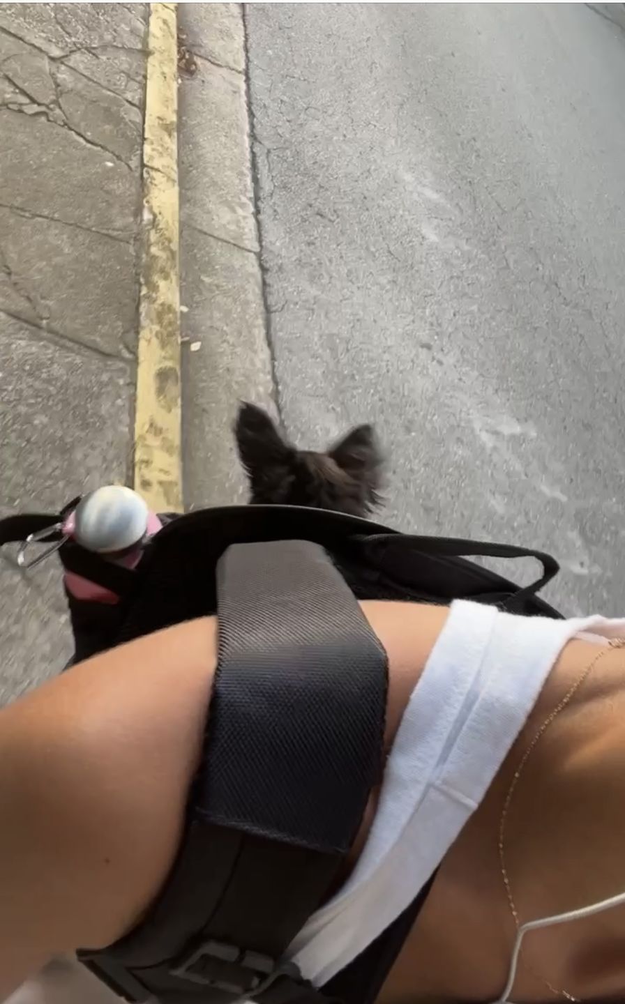 Customer photo review of Premium All-Black Pet Backpack