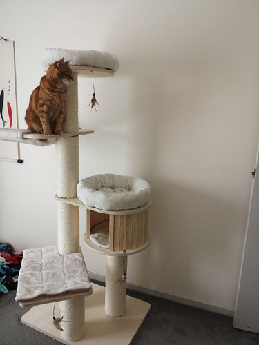 b and m cat tree