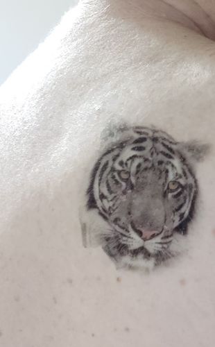 Customer photo review of Fauve color ( 5 pièces )