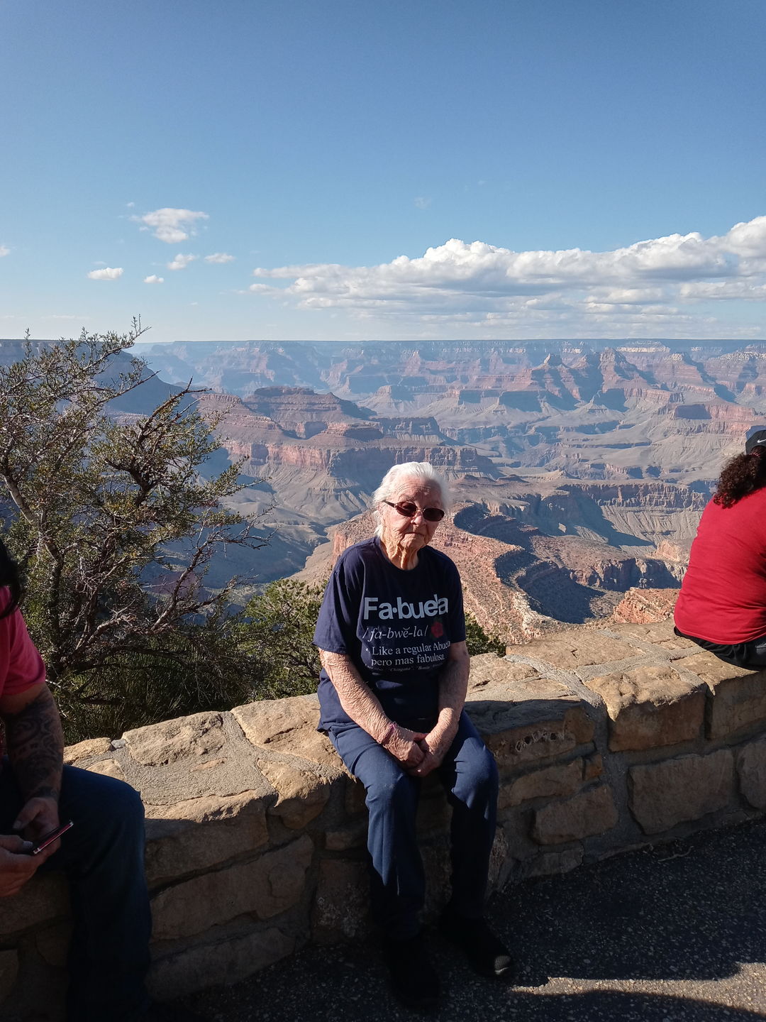 Customer photo review of Fabuela Fabulosa Abuela T-Shirt
