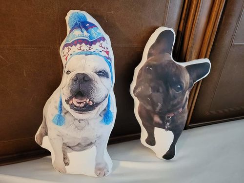 Customer photo review of Create A Custom Dog Pillow