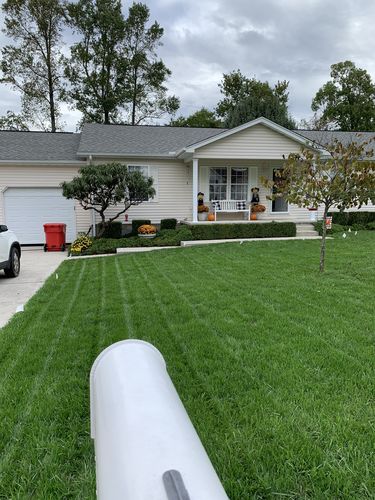 Customer photo review of GCI Turf Spreader Elite Grass Seed