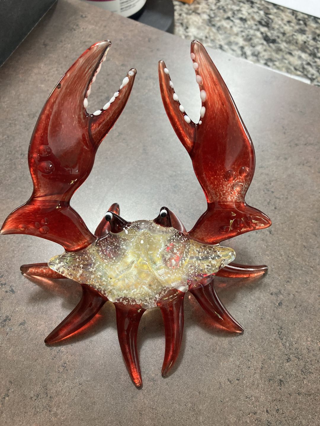 Customer photo review of Memorial Crab with Cremation Ash