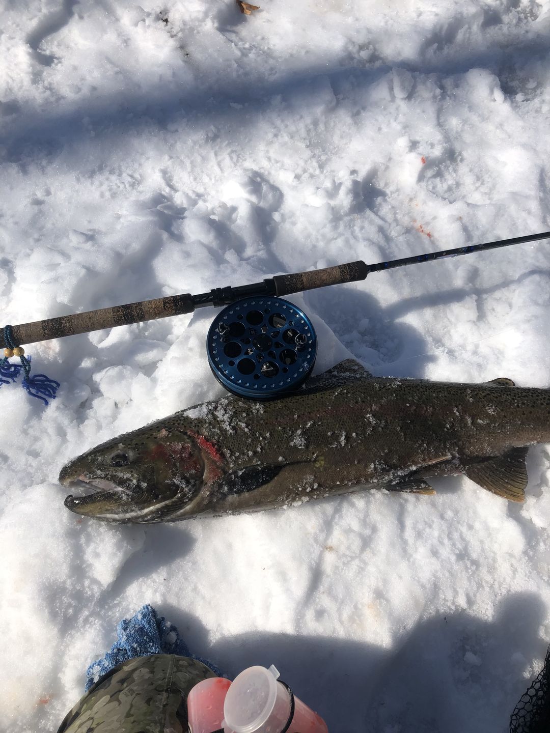 Customer photo review of Custom Float Build