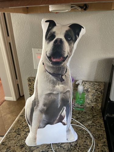 Customer photo review of Create A Custom Dog Pillow