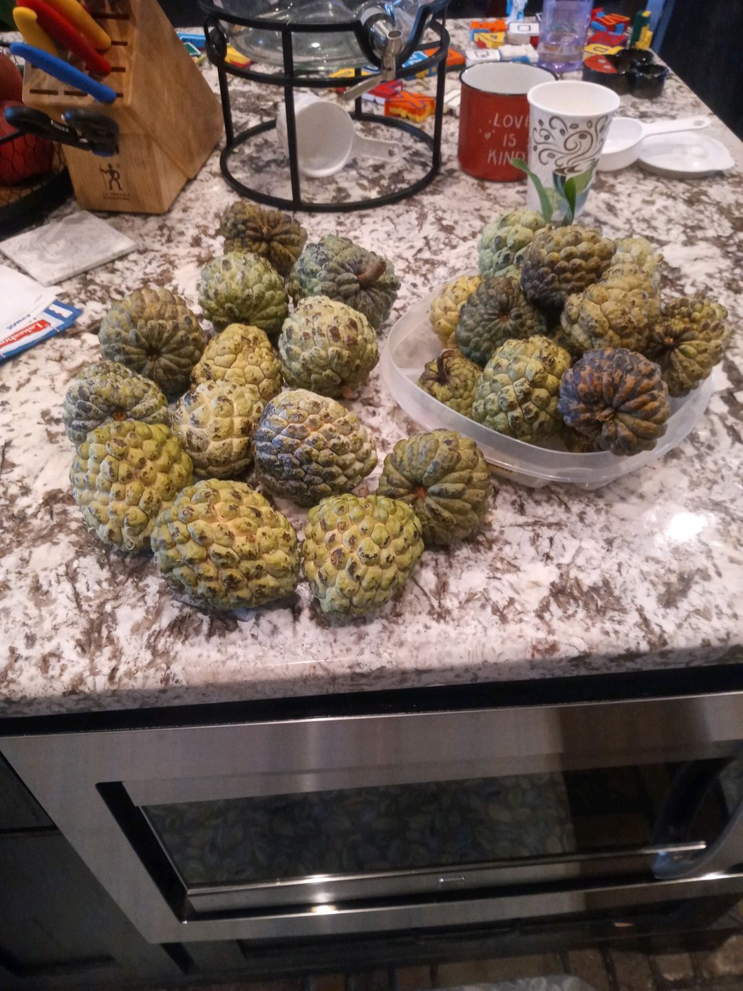 Customer photo review of Sugar Apple (Sweetsop) *Pre-Order*
