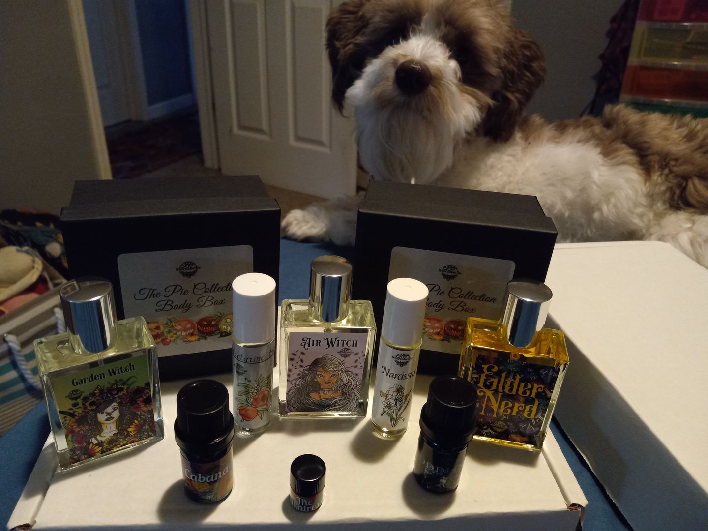 Customer photo review of Garden Witch