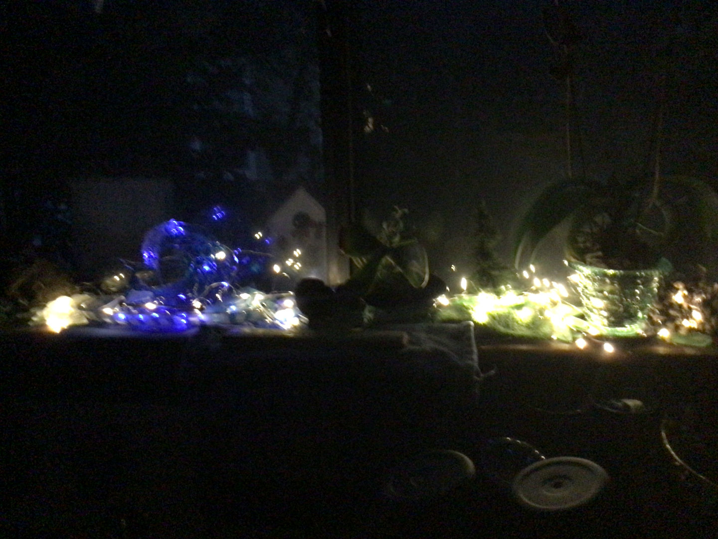 Customer photo review of 7 FT | 20 LED Weatherproof Battery Operated Copper Wire Warm White Fairy String Lights With Timer