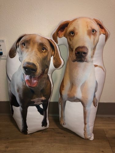 Customer photo review of Create A Custom Dog Pillow