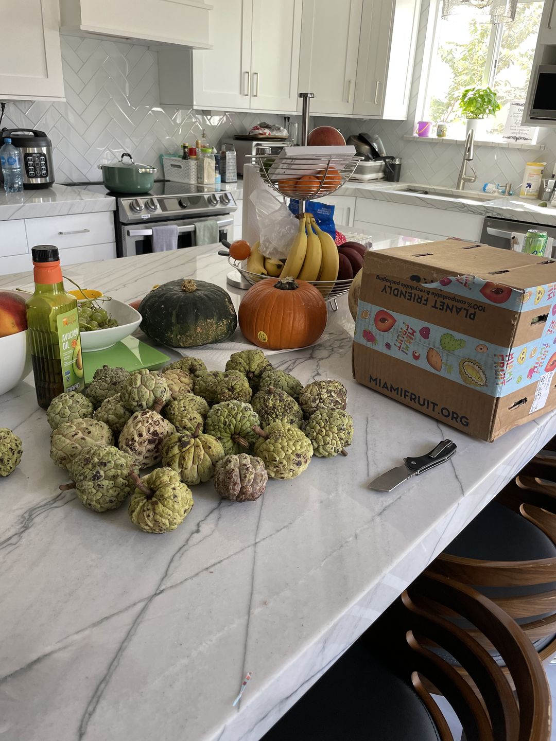 Customer photo review of Sugar Apple (Sweetsop)
