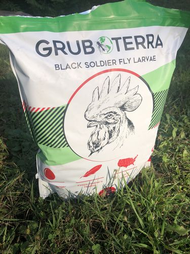 Customer photo review of GrubTerra Dried Larvae