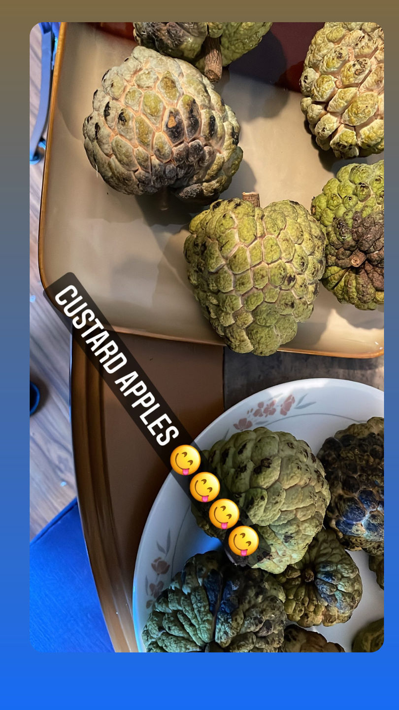 Customer photo review of Sugar Apple (Sweetsop)