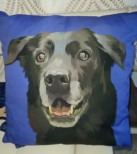 Customer photo review of Custom Pet Couch Pillow with Cover