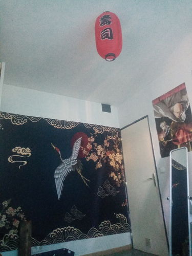 Customer photo review of Lanterne Japonaise Rouge