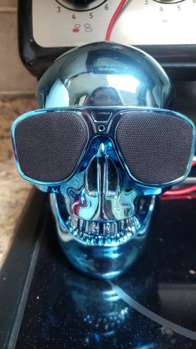 Customer photo review of Just Love Skulls Speaker - Blue Edition
