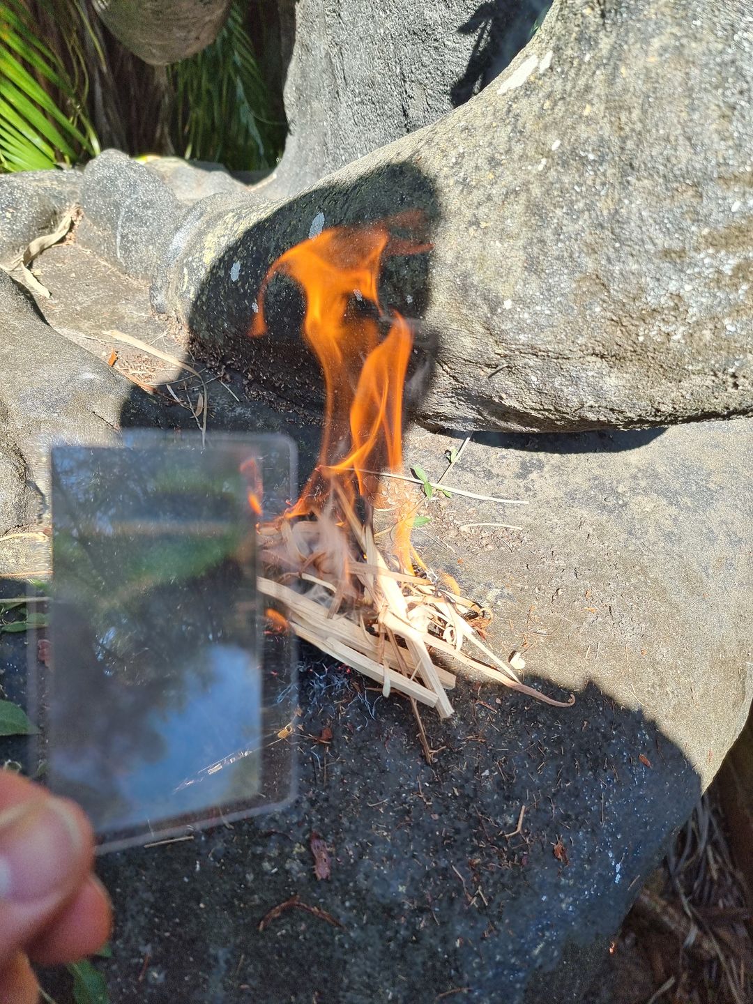 Customer photo review of Fresnel Lens
