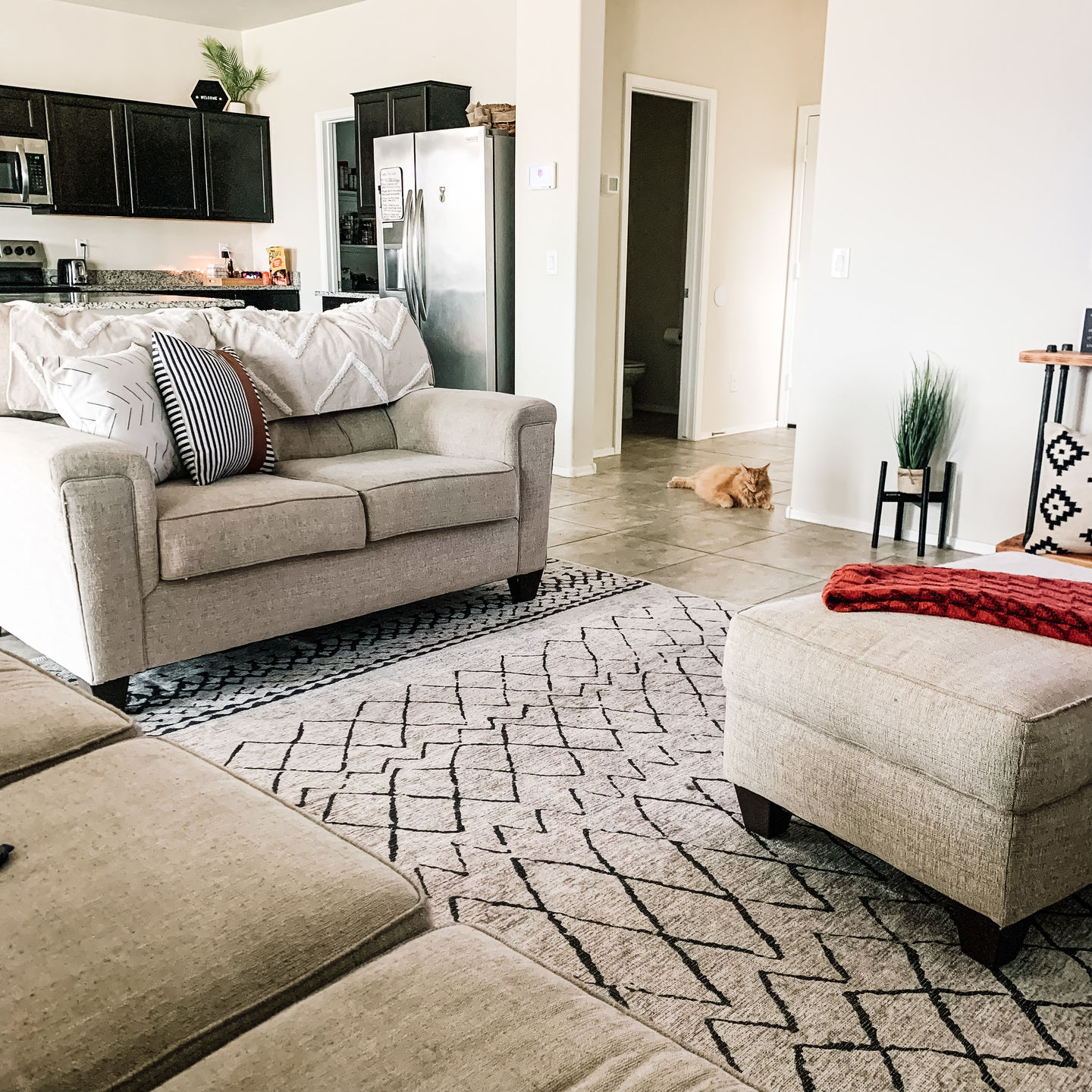 Customer photo review of Alma Scandi Silver Rug