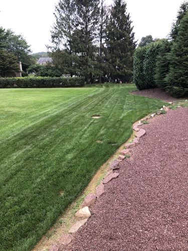 Customer photo review of Protene Performance Winter Fertilizer