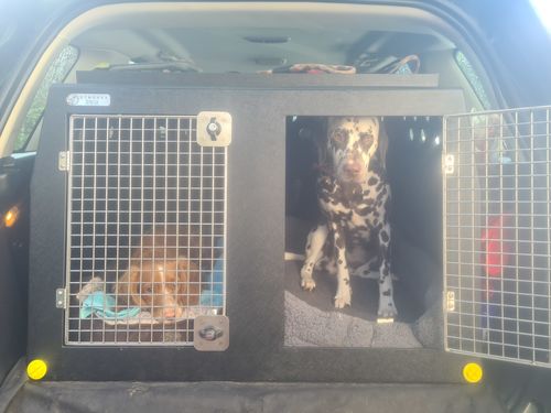freelander 2 dog cage