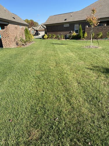 Customer photo review of Protene Performance Fall Fertilizer