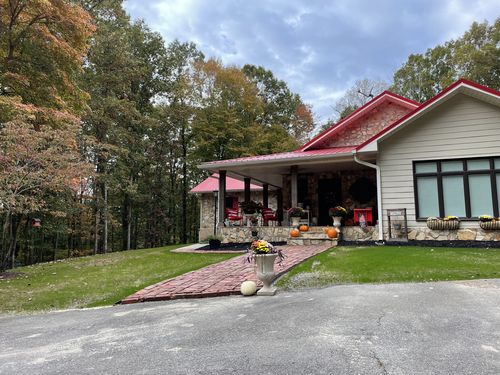 Customer photo review of GCI Turf Type Tall fescue Grass Seed