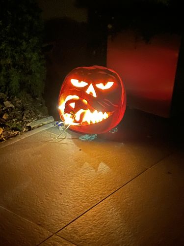 Customer photo review of Kalbsgeschnetzeltes