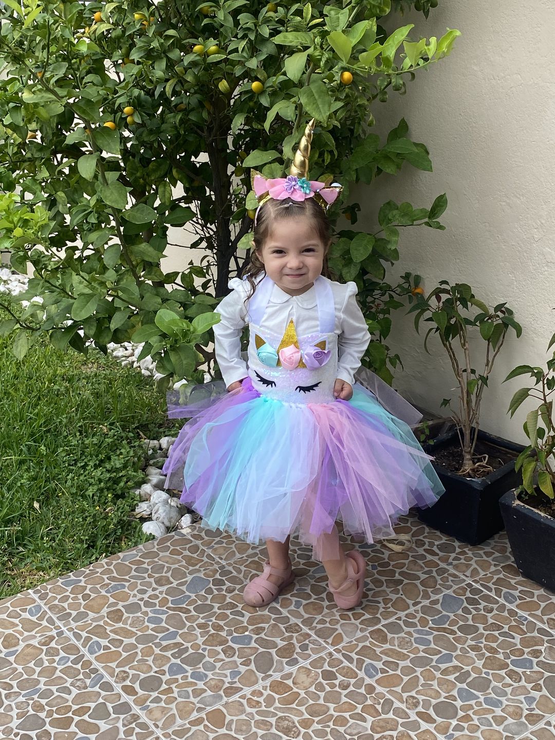 Customer photo review of Party Girl Style ⅩⅦ