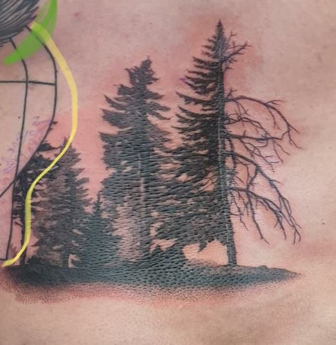 Customer photo review of Signature Tattoo Numbing Cream