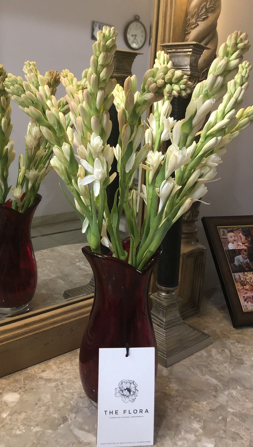 Customer photo review of Tube Roses "Rajnigandha"