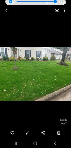 Customer photo review of Protene Performance Fall Fertilizer
