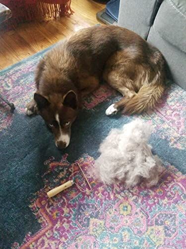 Customer photo review of Lint and Pet Hair Remover Brush
