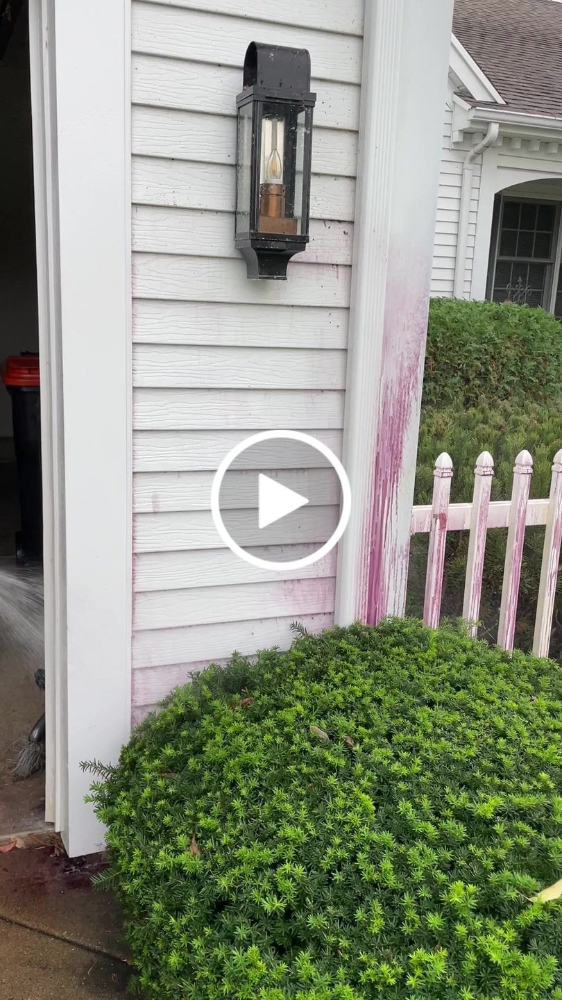 Customer video review of Iron Remover