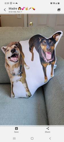 Customer photo review of Create A Custom Dog Pillow