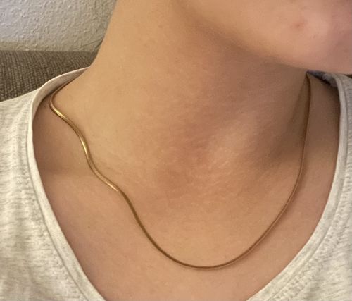 Customer photo review of Manasa necklace (length selection)