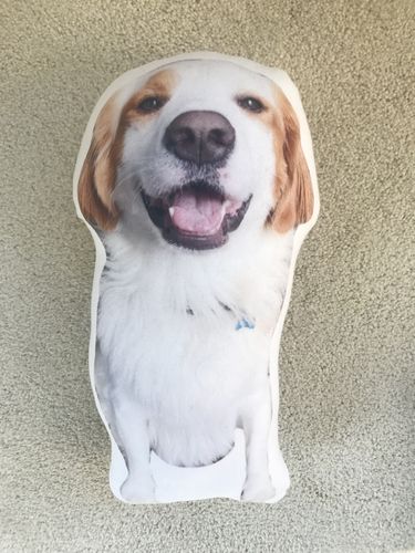 Customer photo review of Create A Custom Dog Pillow