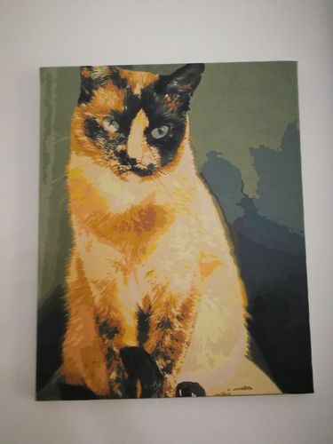 Customer photo review of Pintar por numeros personalizado